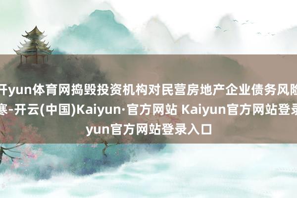 开yun体育网捣毁投资机构对民营房地产企业债务风险的胆寒-开