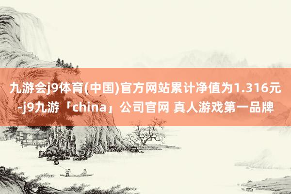 九游会j9体育(中国)官方网站累计净值为1.316元-j9九游「china」公司官网 真人游戏第一品牌