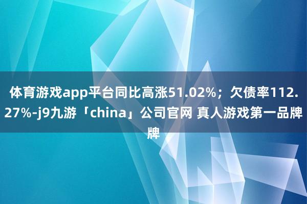 体育游戏app平台同比高涨51.02%；欠债率112.27%-j9九游「china」公司官网 真人游戏第一品牌