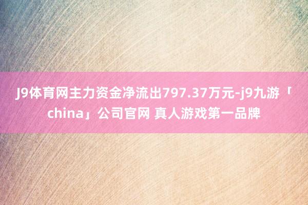 J9体育网主力资金净流出797.37万元-j9九游「china」公司官网 真人游戏第一品牌