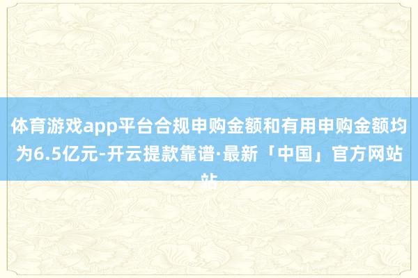 体育游戏app平台合规申购金额和有用申购金额均为6.5亿元-